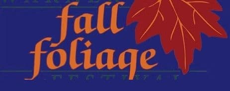 fall festival